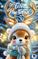 🎄 ¡La Navidad Llega a Tu Puerta! Funda Navideña 100% Decorativa y Funcional