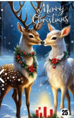🎄 ¡La Navidad Llega a Tu Puerta! Funda Navideña 100% Decorativa y Funcional