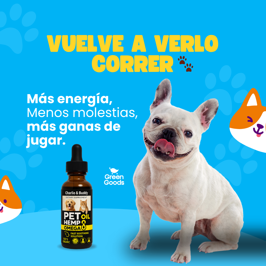 Pet Hemp Omega-Aceite natural que calma y mejora movilidad