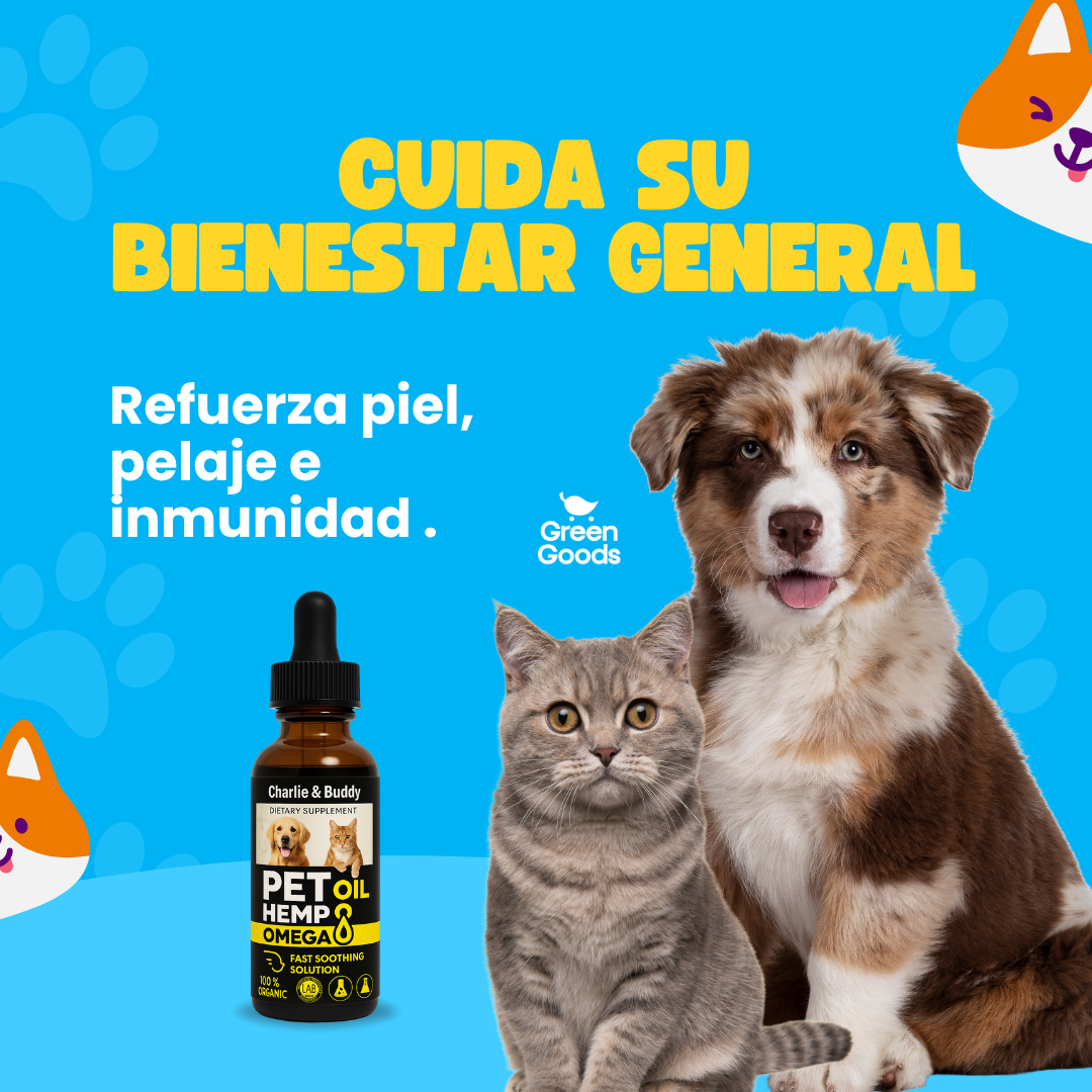 Pet Hemp Omega-Aceite natural que calma y mejora movilidad