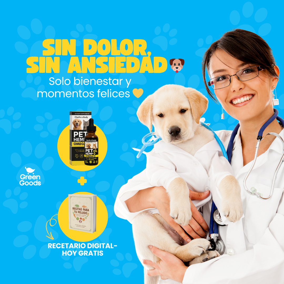 Pet Hemp Omega-Aceite natural que calma y mejora movilidad